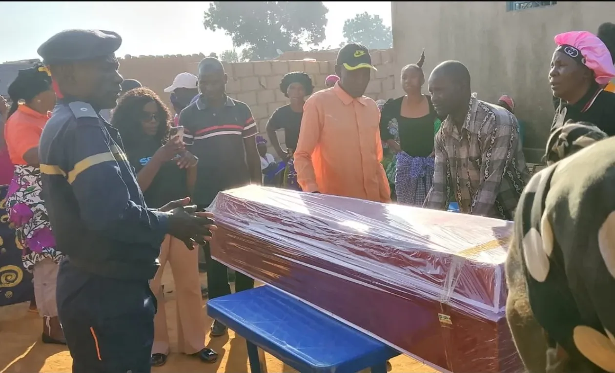 Abelhas matam idosa de 86 anos no Huambo