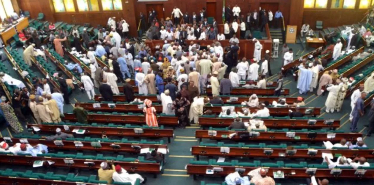 Parlamento nigeriano envia delegação à África do Sul para travar ataques xenófobos