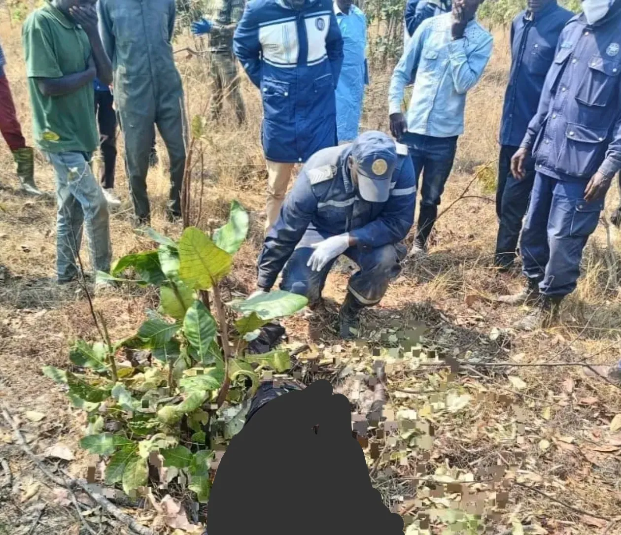 Cadáver de cidadão desaparecido há sete dias é encontrado em mata no Huambo