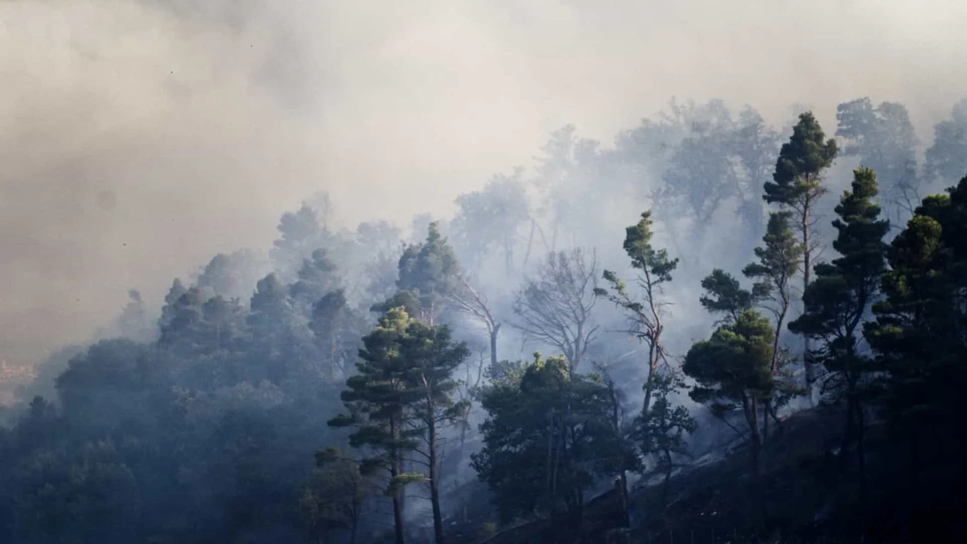 Incendio em França força evacuação de mais 4.000 pessoas