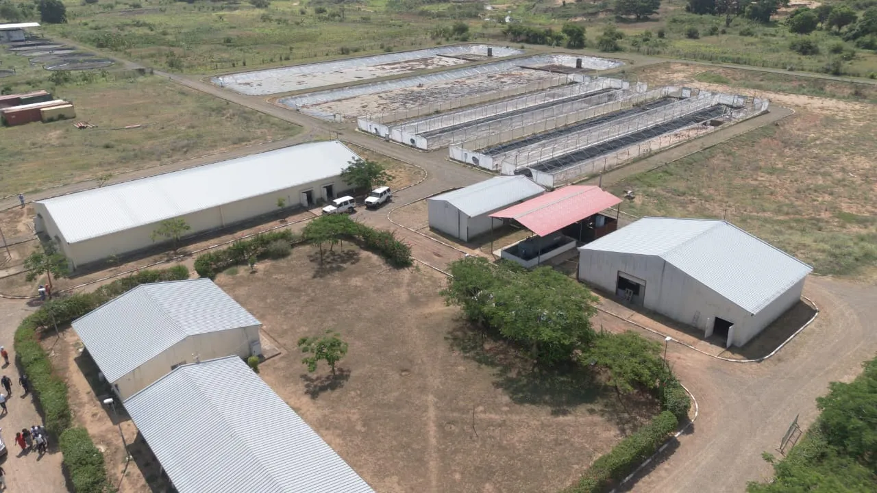 Ministério das pescas projecta reforço do desenvolvimento da aquicultura no Cuanza Norte