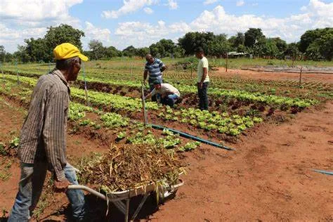 Mais de 20% dos beneficiários do FADA falham reembolso