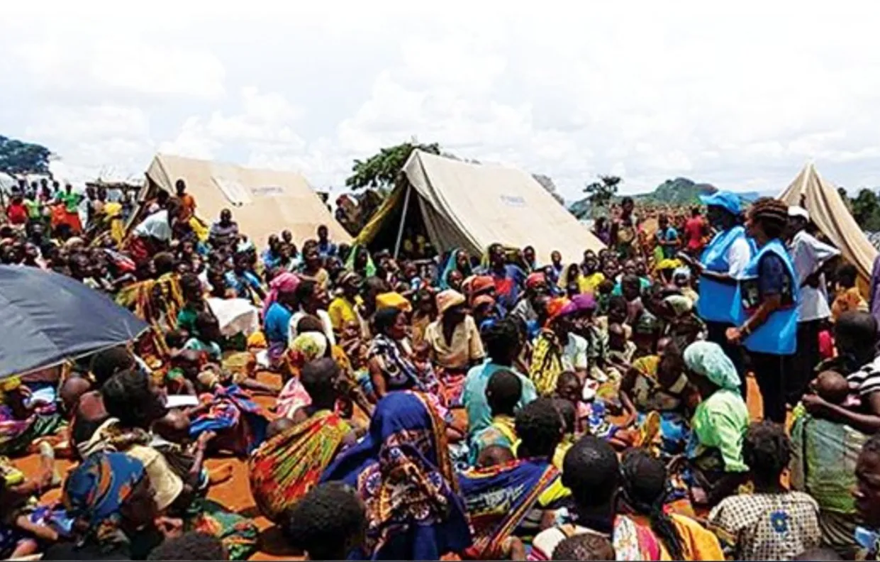 Angola acolhe 55 mil refugiados e requerentes de asilo, revela ACNUR no Dia Mundial do Refugiado