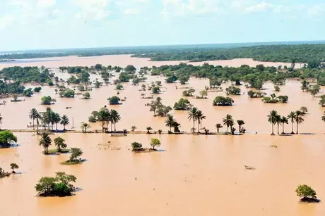 Moçambique: Cheias nunca vistas ocuparam 88% do “celeiro do país”