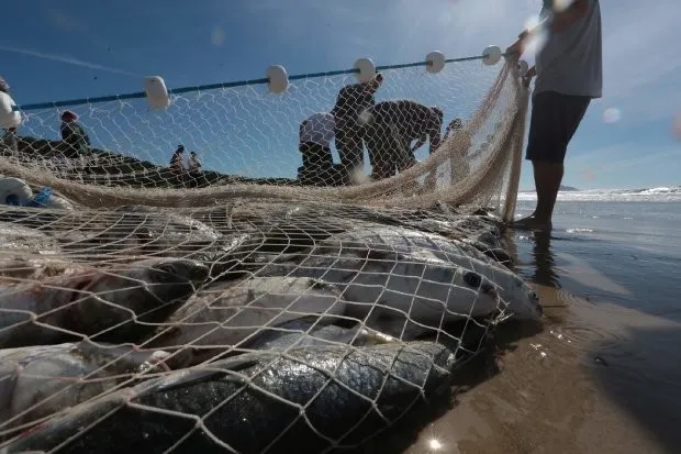 Pescadores artesanais denunciam pesca de arrasto nas águas da Cacuaco
