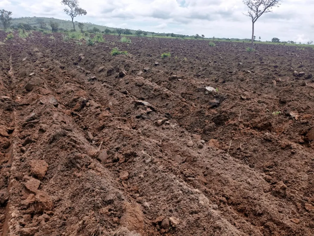 Israel prepara investimentos na agricultura do Icolo e Bengo