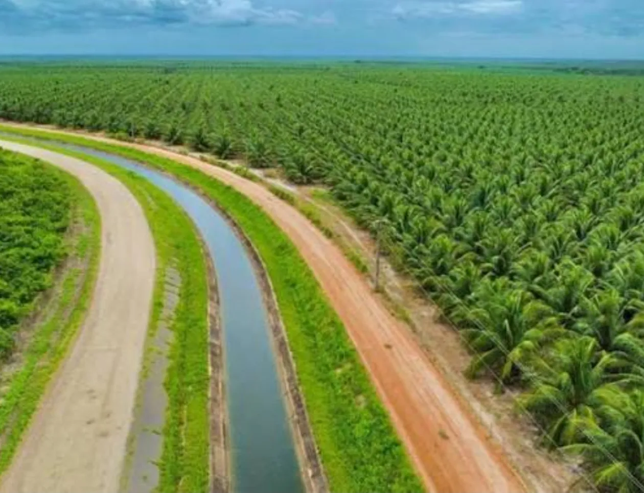 “Sector hídrico deve liderar transformação da agricultura”, defende engenheiro
