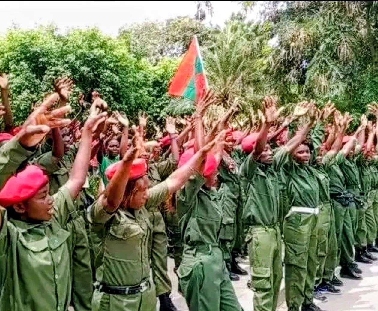 “Uso de uniformes militares em acto político viola legislação”, alerta Polícia Nacional