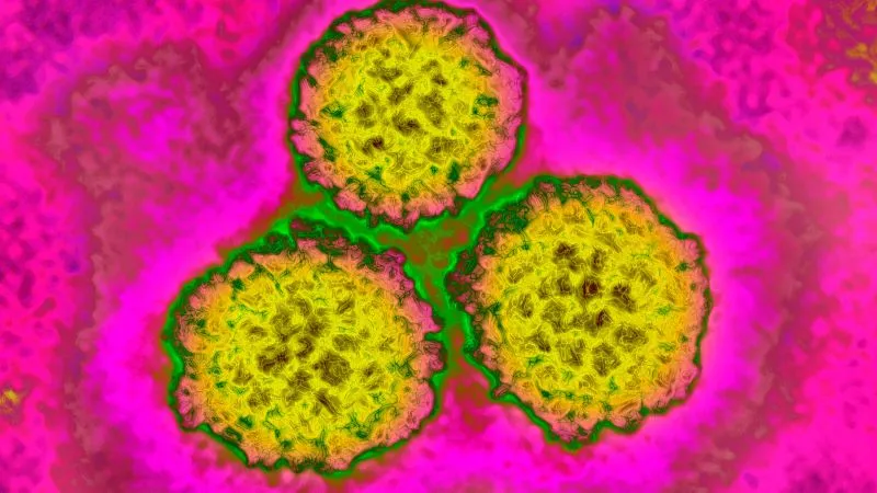 Estudo revela que uma em cada oito ocorrências de cancro no mundo está associada a infecções evitáveis