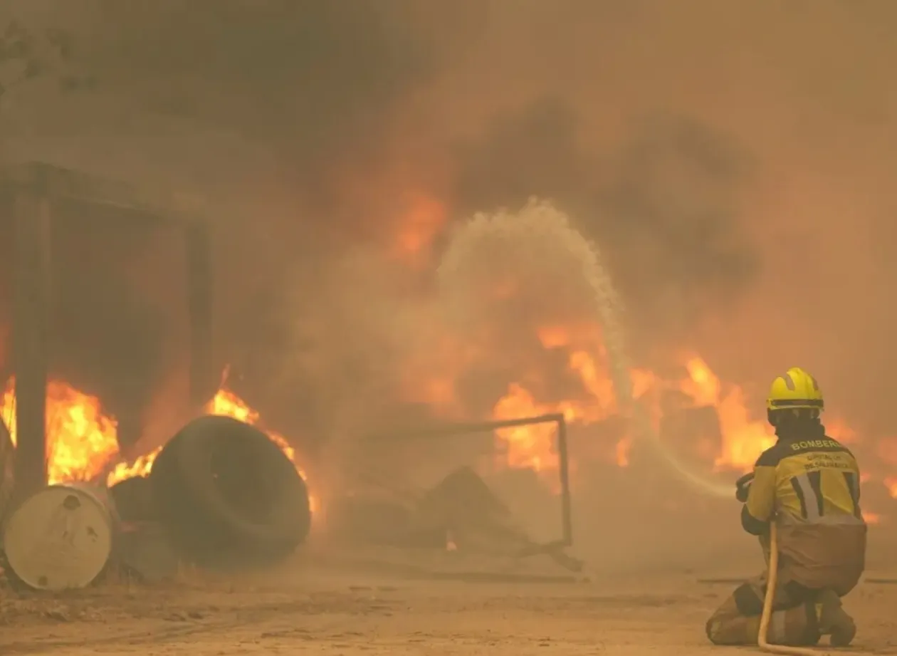 Incêndios florestais em Espanha obrigam retirada de mais de 115 mil pessoas
