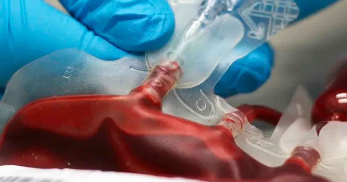Rotura no banco de sangue dos hospitais do Cubango revela cenários críticos na província