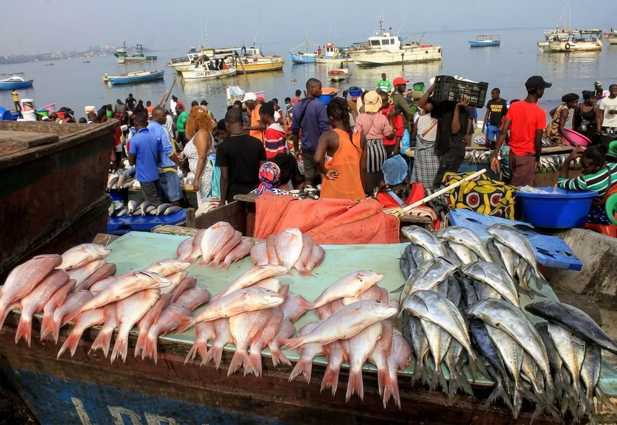 Mulheres peixeiras e pescadoras ganham aposta na valorização de resíduos