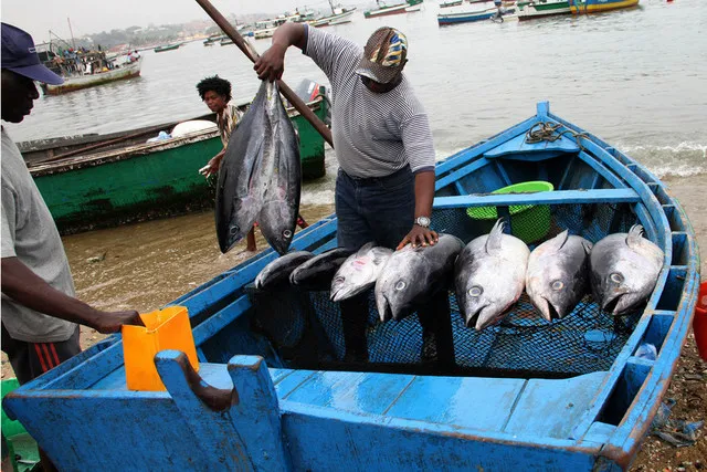 Projecto de desenvolvimento sustentável mobiliza USD 90 milhões para apoiar pesca e aquicultura