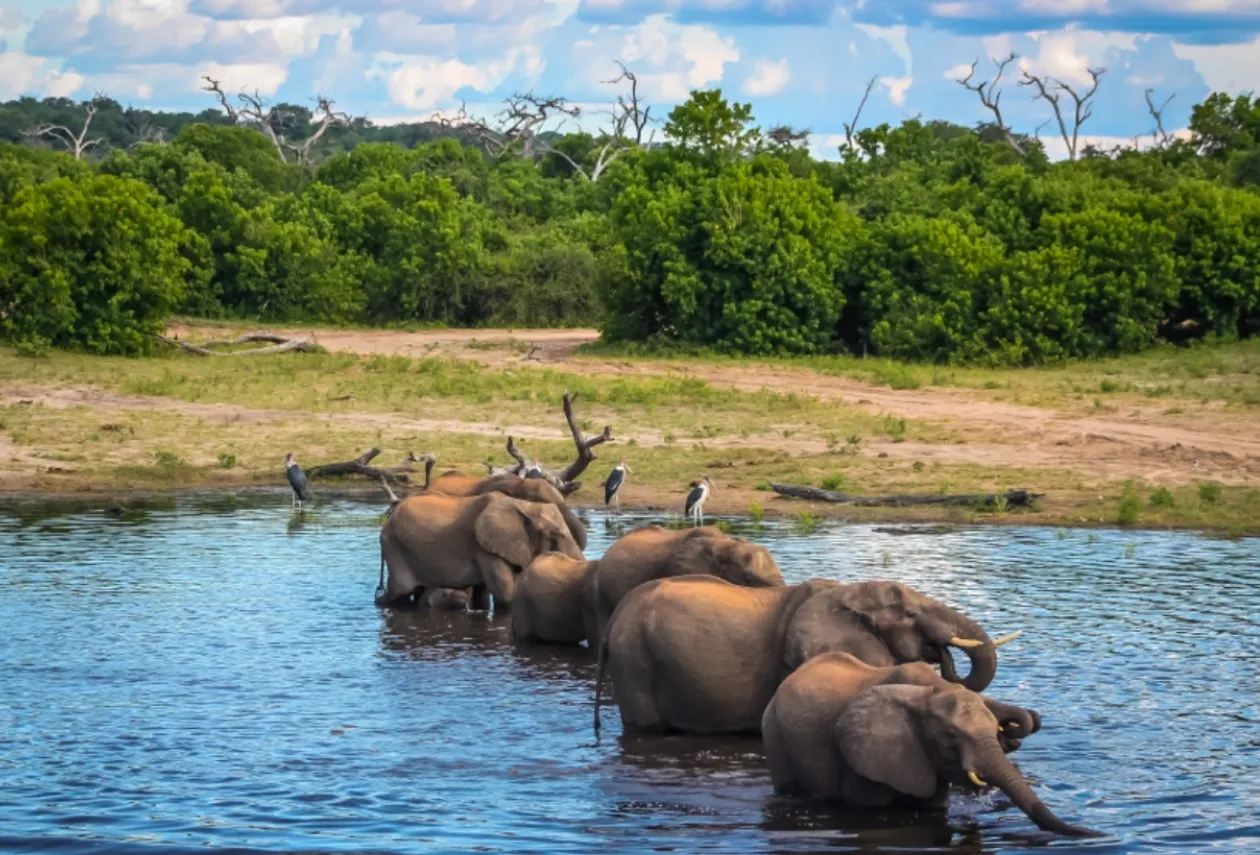 Executivo delega aos ministros do Ambiente e do Turismo concessão de espaços para ecoturismo