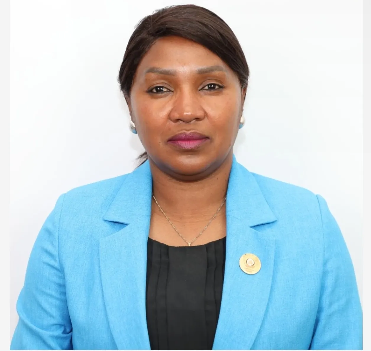 MPLA na Huíla lamenta morte da deputada Fernanda Filomena dos Santos