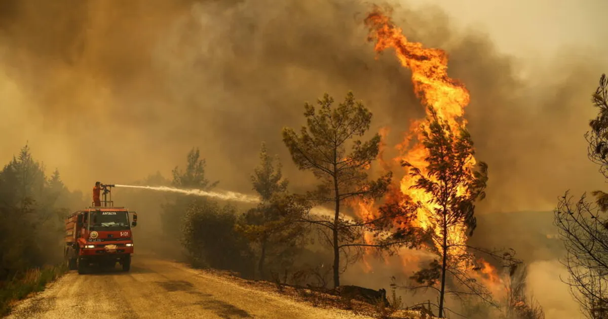 Incêndio em França aproxima-se de Espanha em 24h