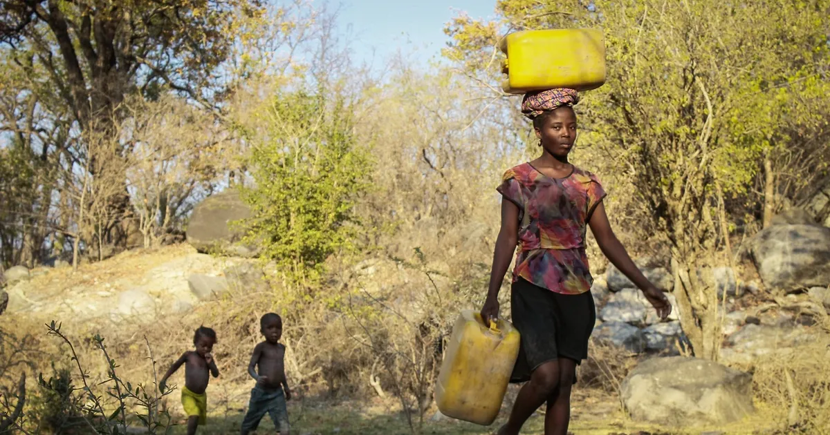 “África tem potencial significativo para assumir papel de liderança na acção climática”