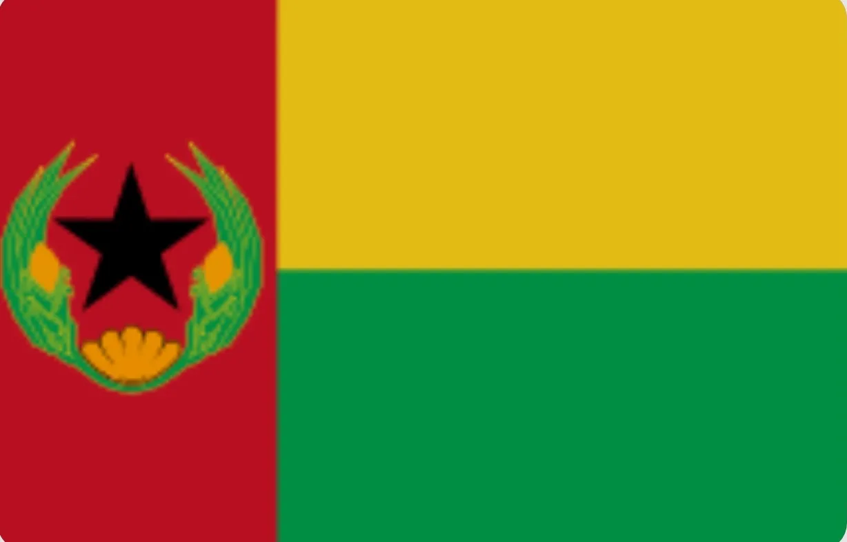 Guiné-Bissau: Nova lei obriga PAIGC a mudar símbolos idênticos à bandeira nacional