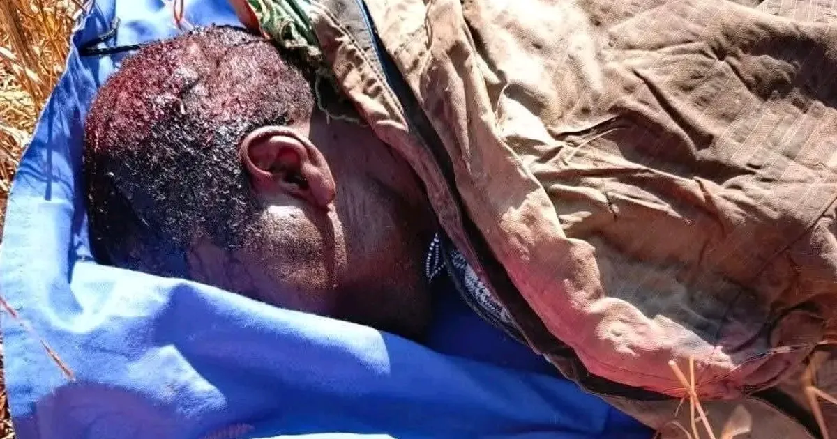 Disputa de terras entre Mucubais e Nhanecas-Humbi deixa mais de 20 mortos no Namibe