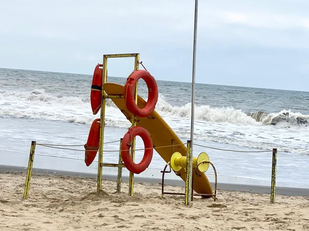 Poluição e pesca ilegal colocam oceanos em risco, alerta ambientalista