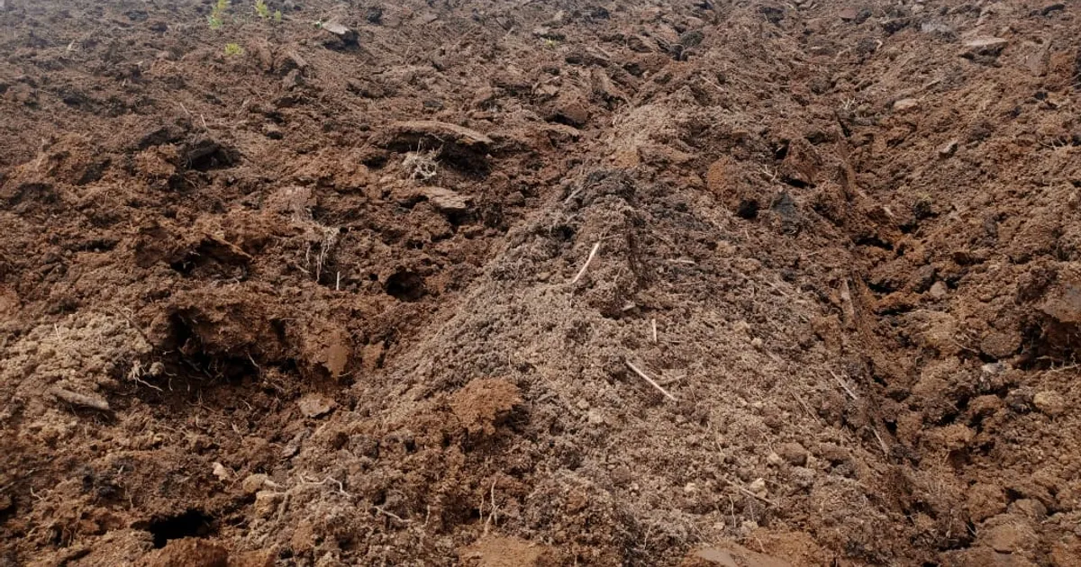 Ambientalista alerta para degradação dos solos regionais