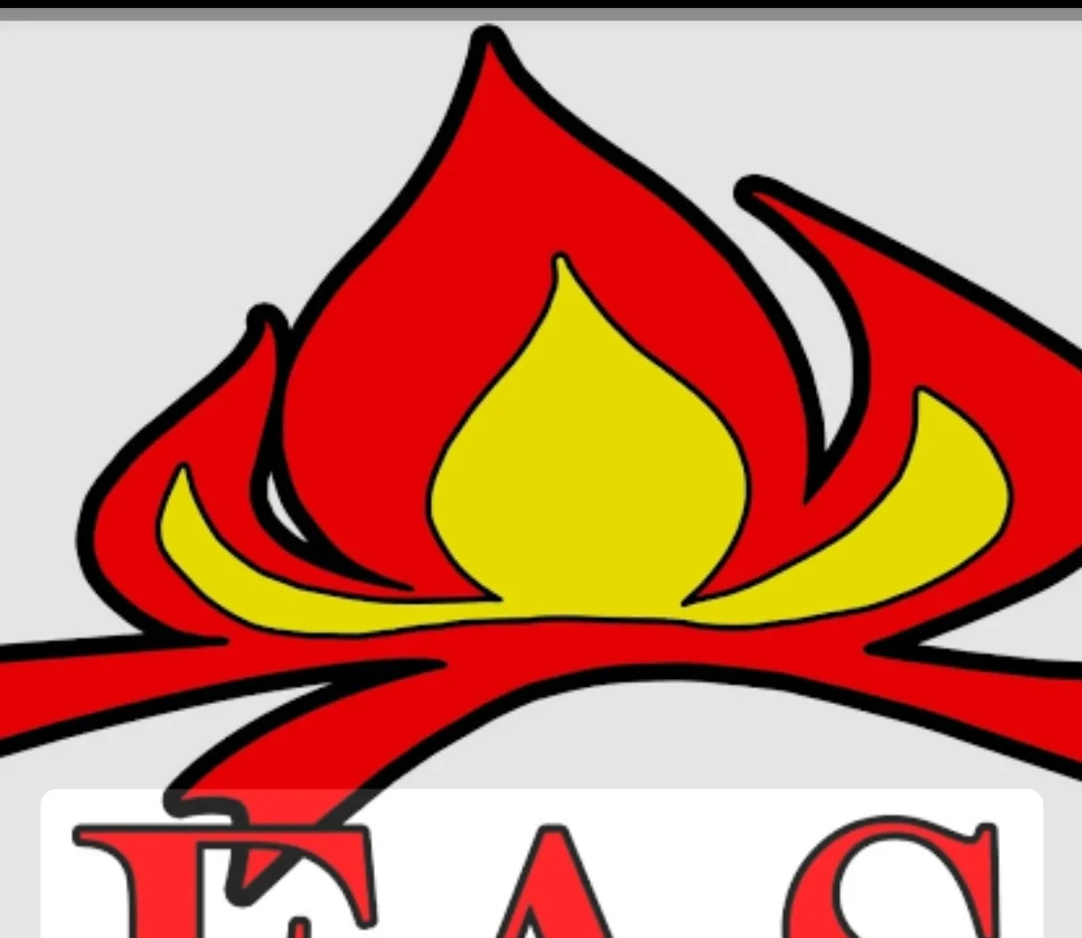 FAS reage a processo contra dirigente e garante normalidade