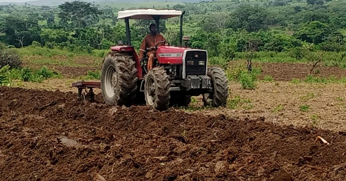 Mais de nove mil jovem envolvidos no agro-negócio