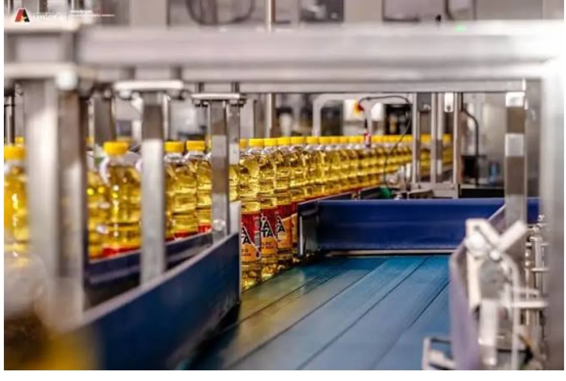 Dados do INE revelam trajectória ascendente da actividade industrial