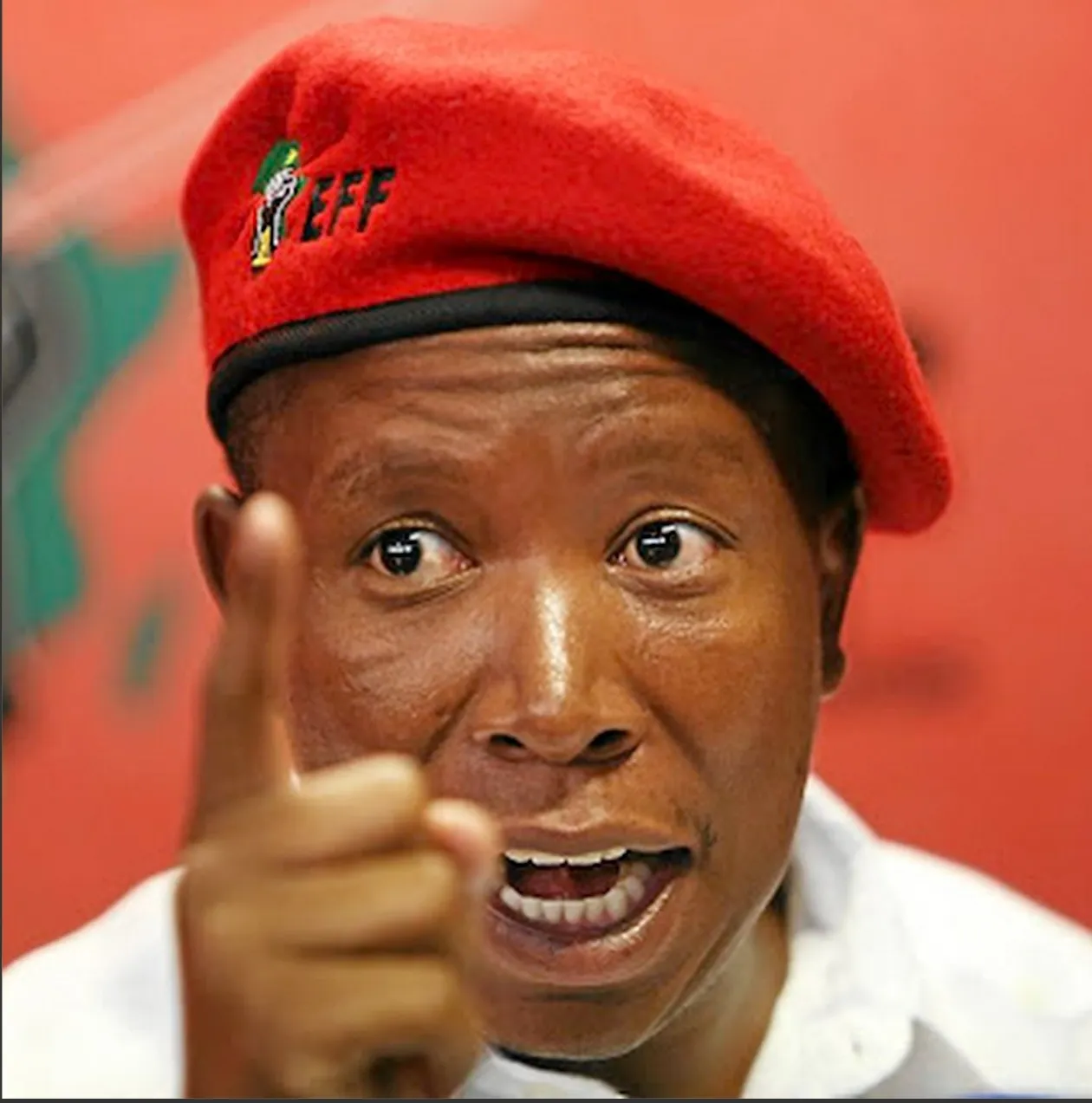 Malema condenado a cinco anos por disparos