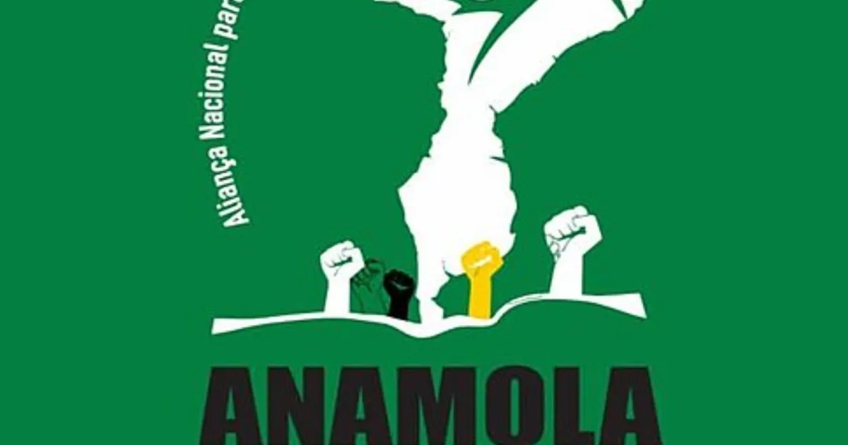 Moçambique: Partido de Venâncio Mondlane denuncia violação dos direitos dos seus membros