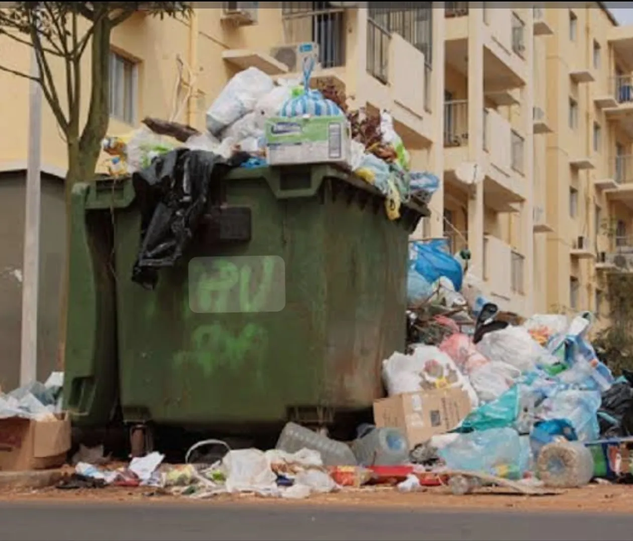 Moradores denunciam lixo a céu aberto no Sequele e exigem solução urgente