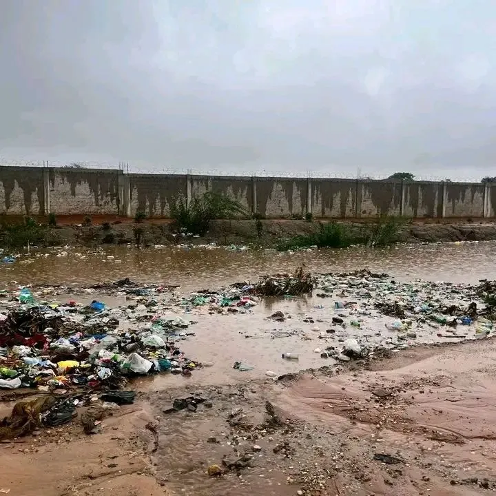 Organização alerta para surgimento de doenças após inundações em Luanda