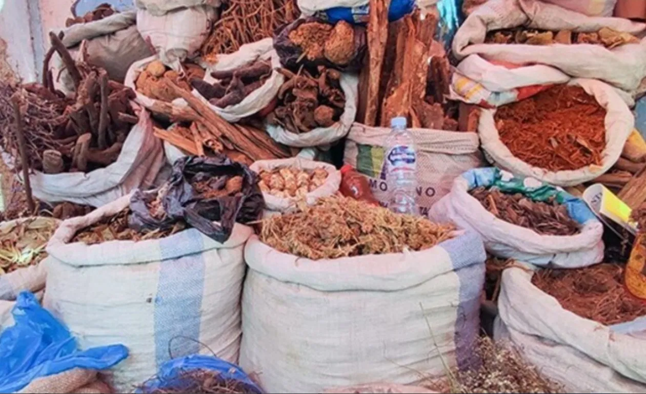 Uso inadequado de medicamentos naturais provoca dezenas de internamentos em Luanda