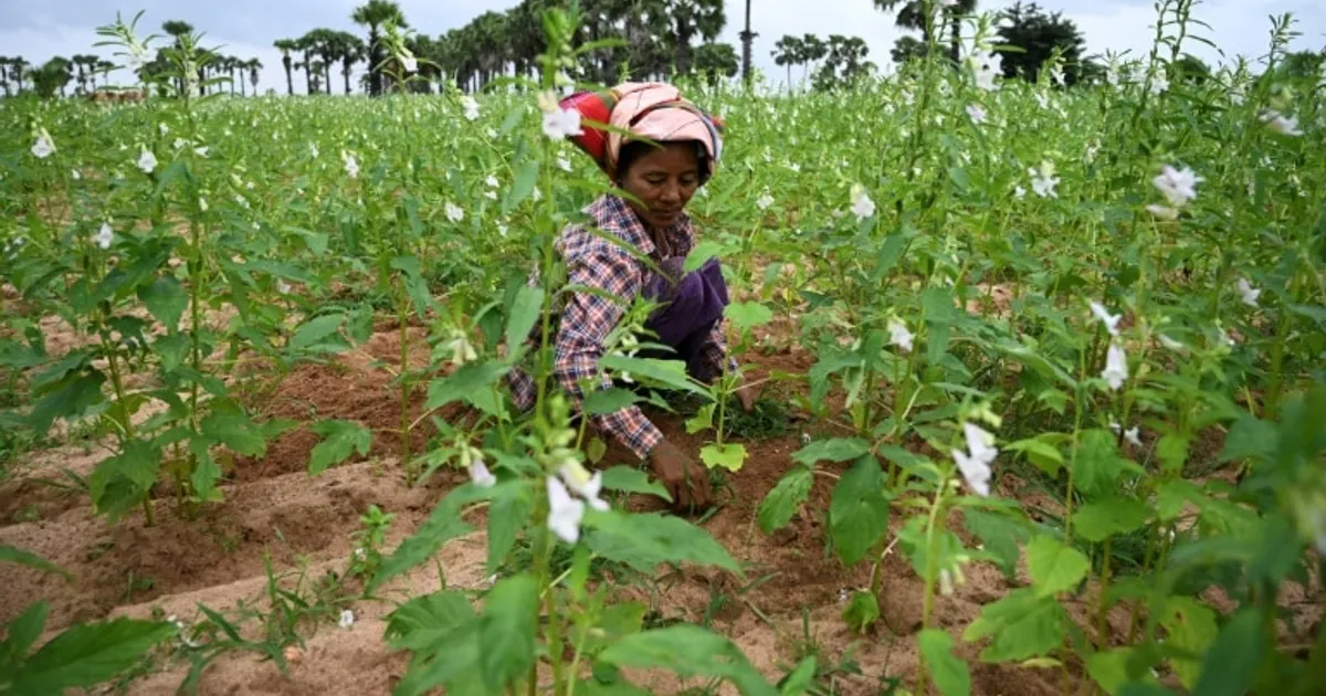 Anunciado encerramento do FRESAN no Sul de Angola