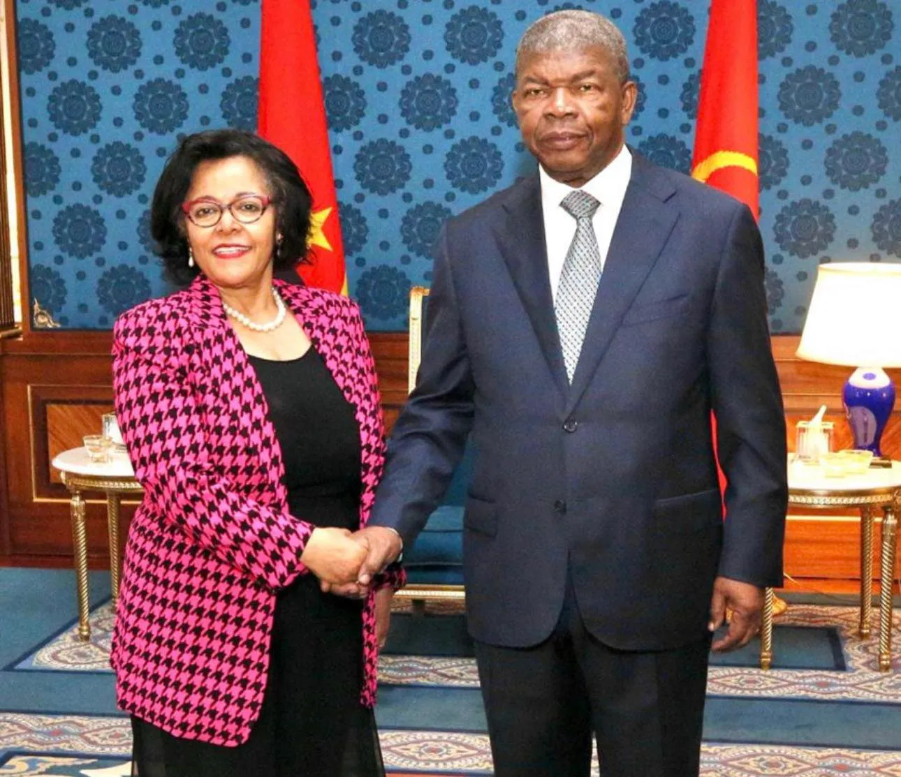 PR recebe em audiência directora da Agência de Desenvolvimento da União Africana