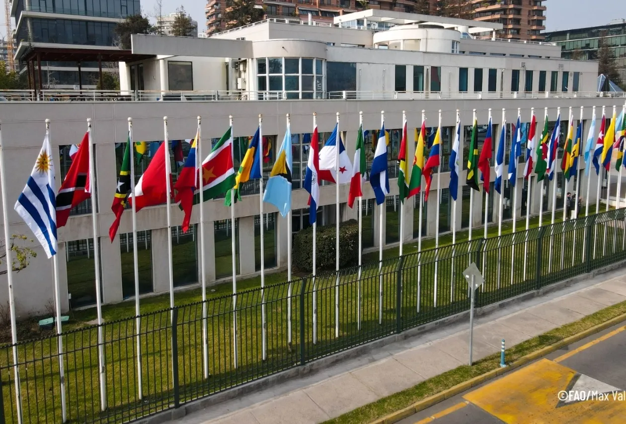 Angola e Marrocos apelam à União Africana para apoiar candidatura única à FAO