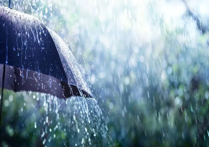Ambientalista alerta: “Chuva fora de época reflecte impactos das alterações climáticas”