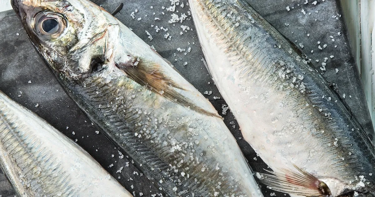 Pesca do carapau interditada em todo país