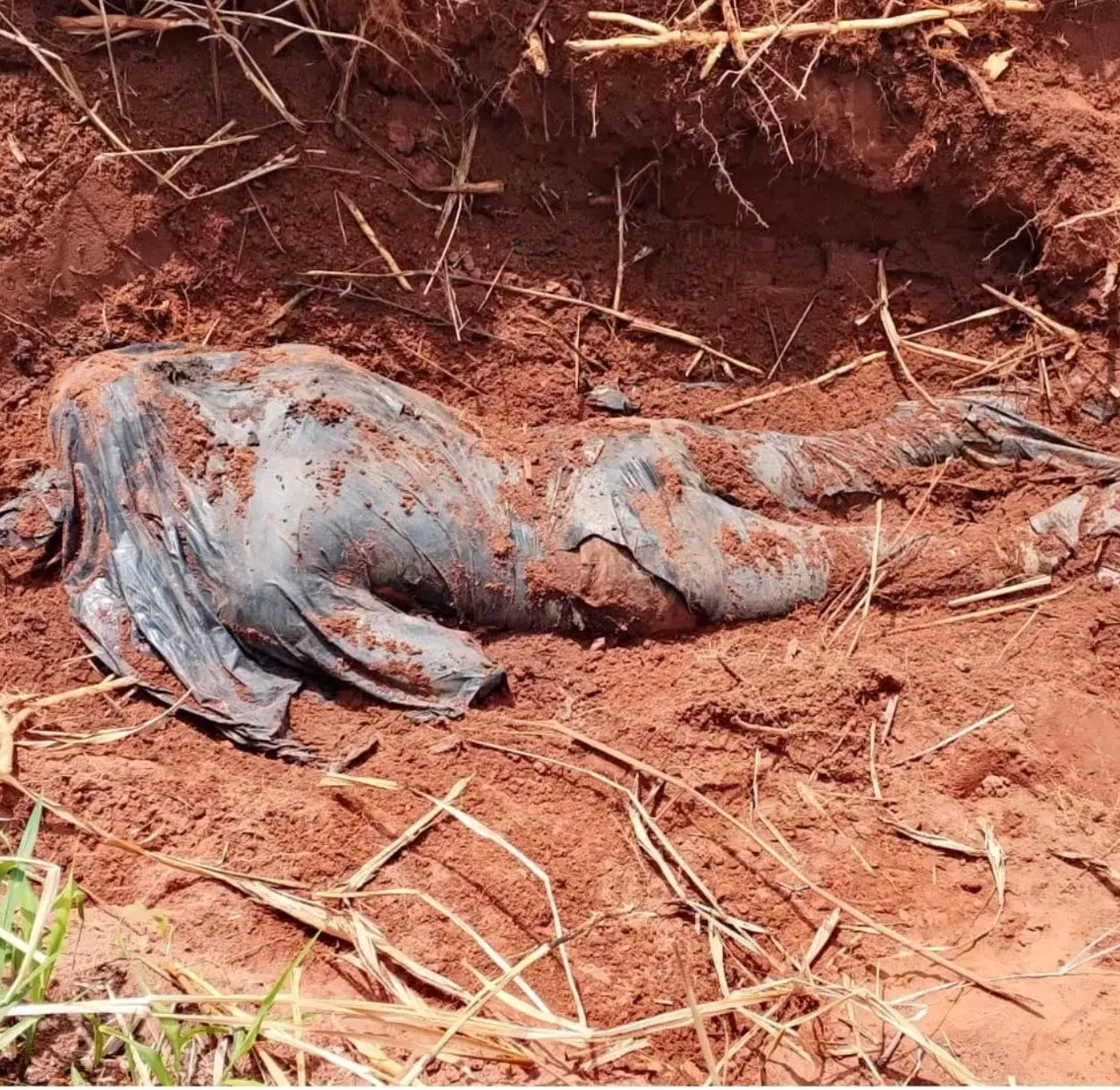 Família mata idoso e enterra-o clandestinamente por alegadas suspeitas de feitiçaria