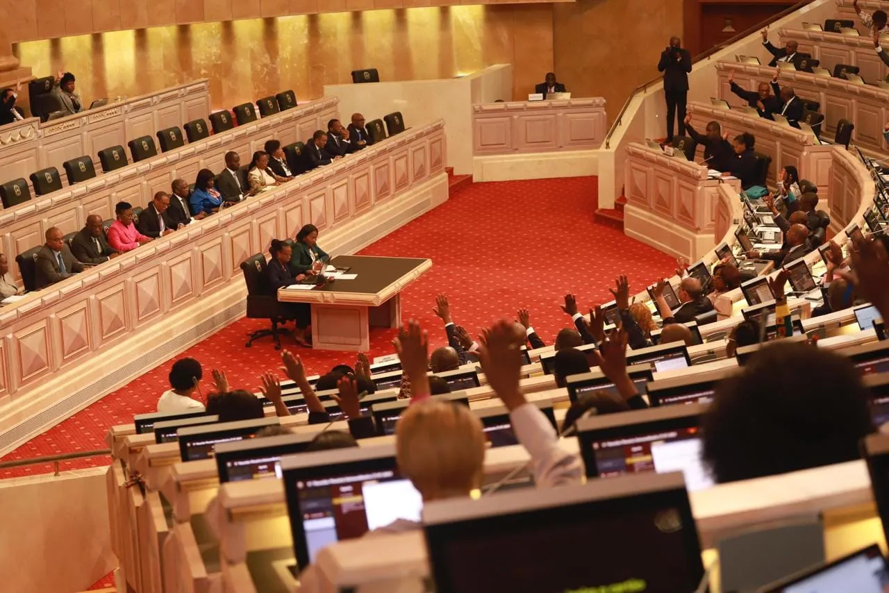 Especialista defende consulta pública antes da aprovação de leis na Assembleia