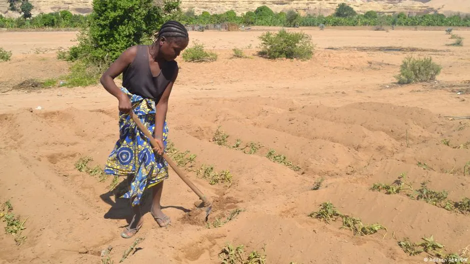 Seca compromete primeira época agrícola em Angola