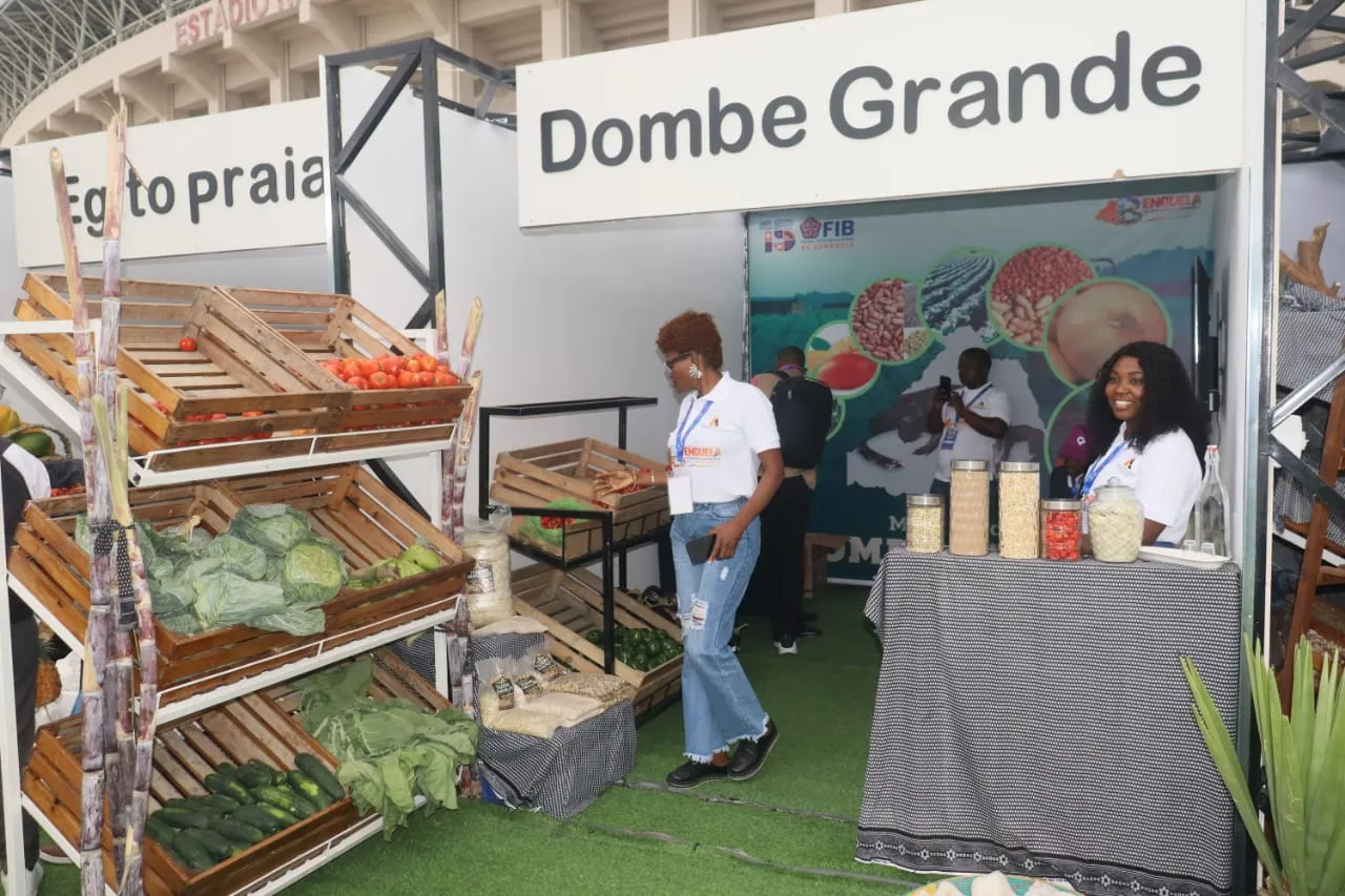 Dombe Grande prevê colher 15 mil toneladas de feijão