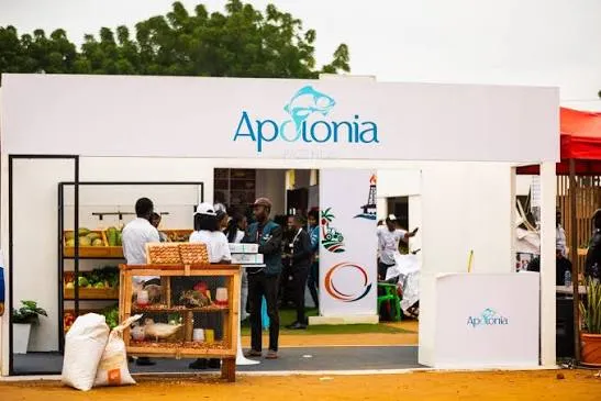 Fazenda Apolónia prevê abater cinco mil galinhas por dia