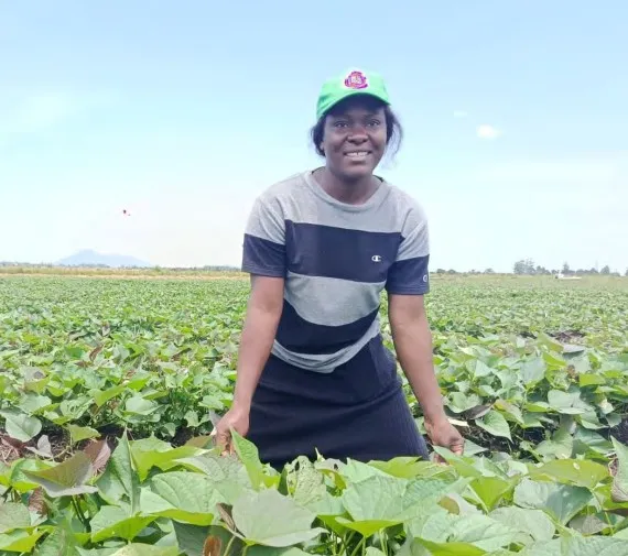 Cuanza-Sul aposta na mecanização agrícola e prepara mais de 400 mil hectares