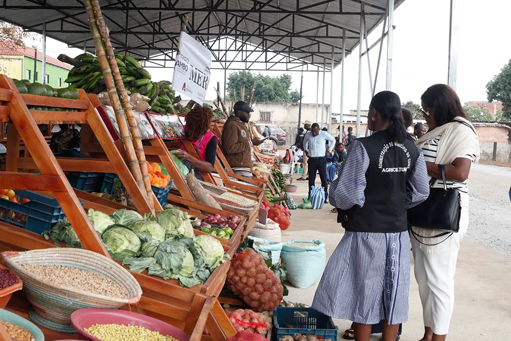 Huambo quer soluções de crédito para estimular investimento privado