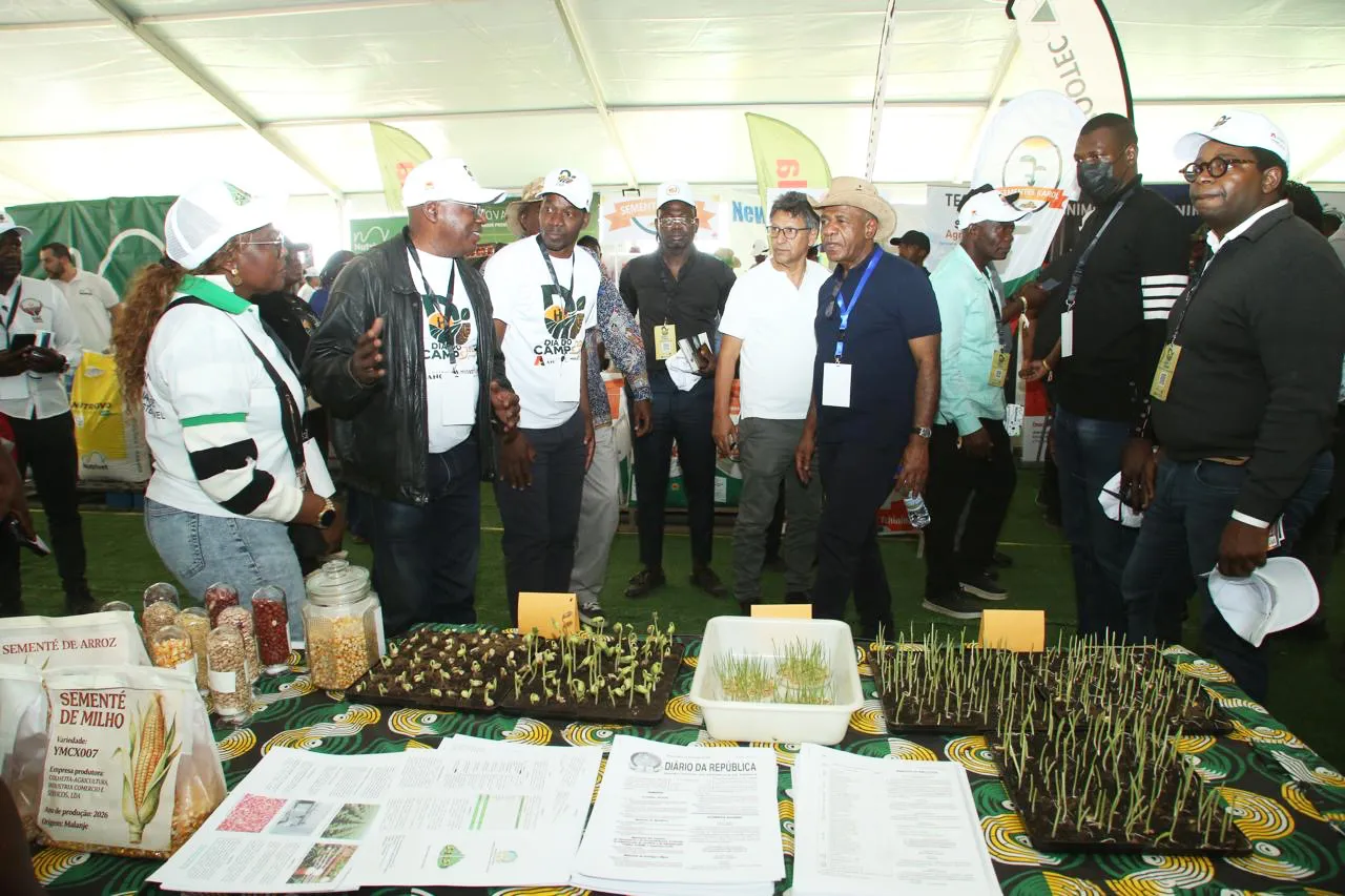 Feira mostra indicadores estratégicos para elevar sector Agrícola no país