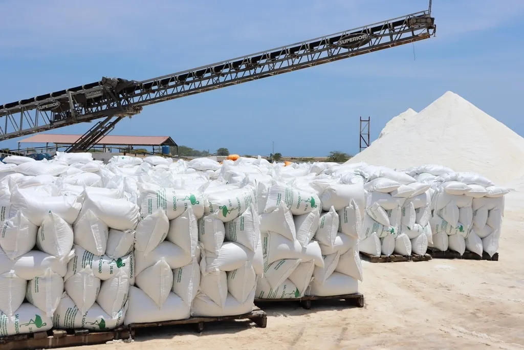 Angola produz mais de 150 mil toneladas de sal marinho por ano