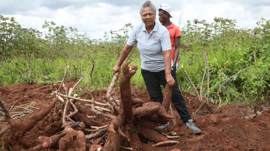 Rainha da mandioca angolana entre as 100 mulheres heroínas da FAO
