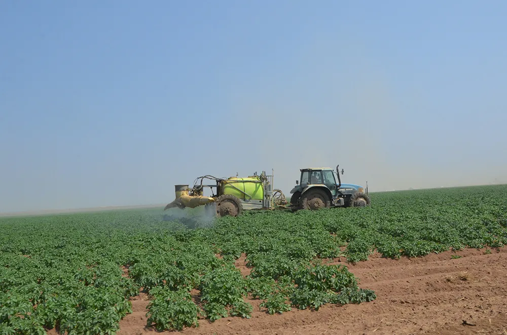 Pesquisa e crédito rural apontados como pilares da agricultura angolana