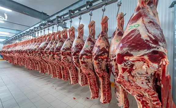 Produção de carne aumenta 4,6% para 1,03 milhão de toneladas